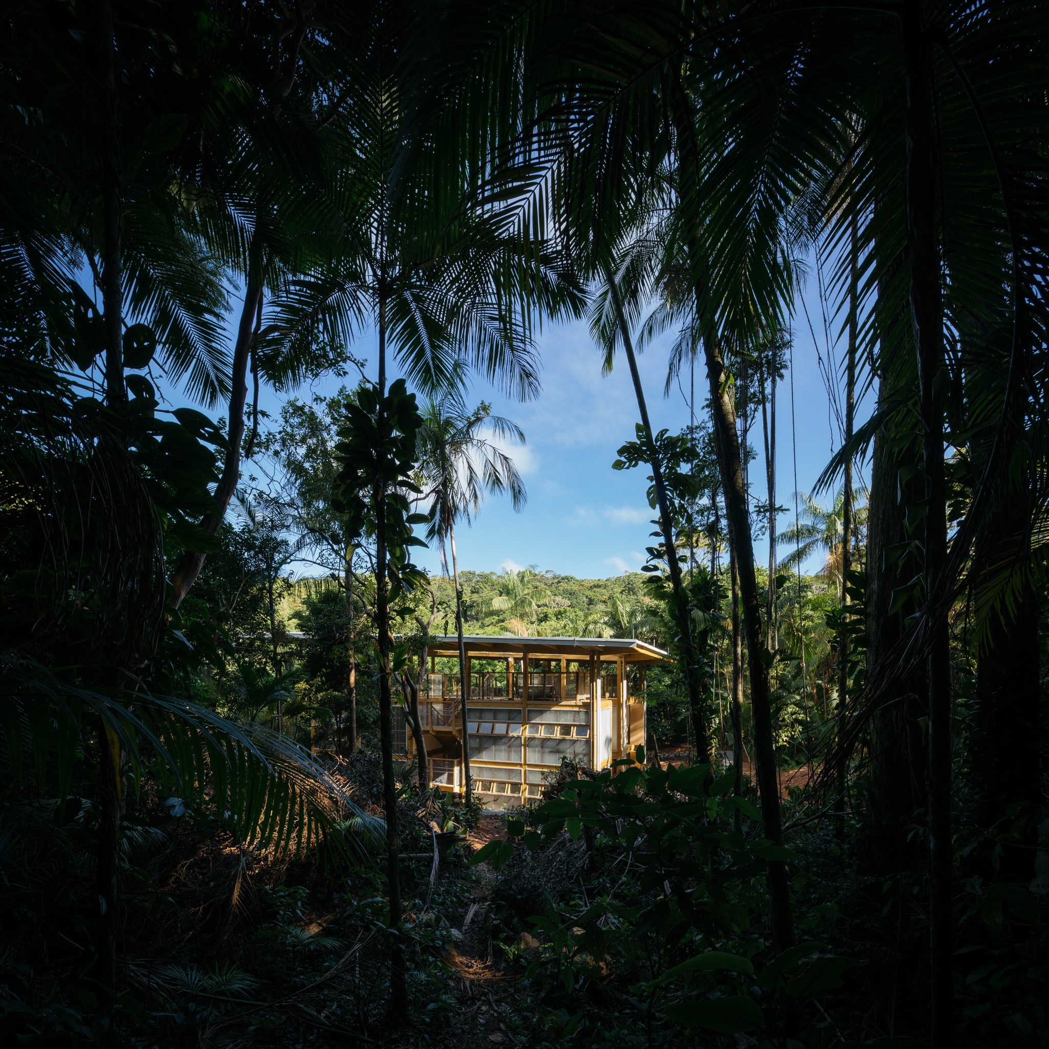 Featured image for “Juréia-Itatins Ecological Station Headquarters in Peruíbe, Brazil”